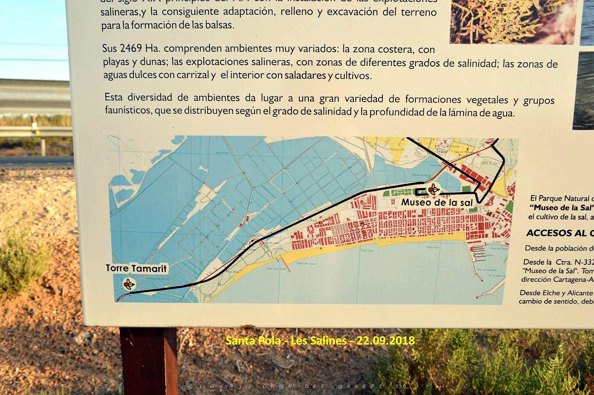 33 SANTA POLA LES SALINES (39).JPG